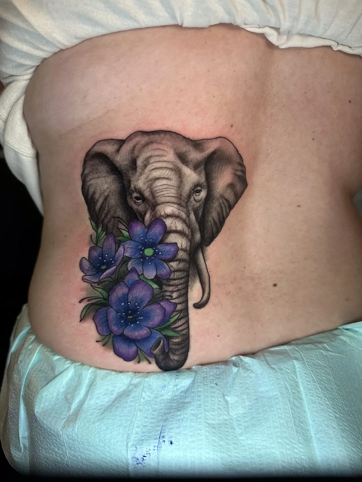 Cover-up after