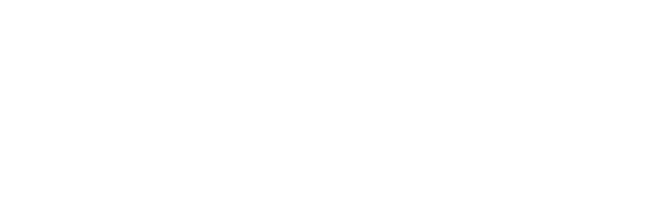 Iron Brush Tattoo Studio
