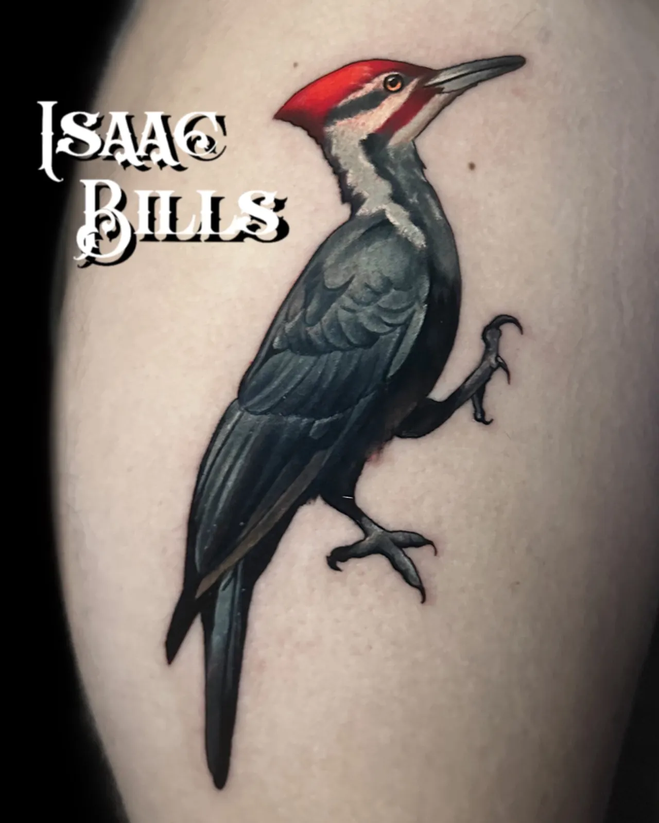 Tattoo artwork by Isaac Bills
